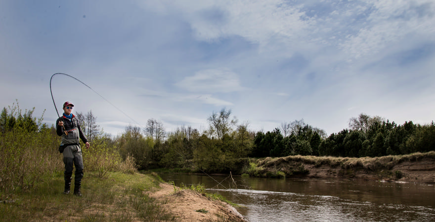 Skjern Å tiltrækker nu både laks og turister